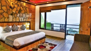 Premium Himalayan Facing room